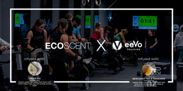 EcoScent X Eevo 