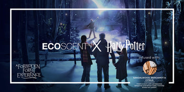 Harry Potter Forbidden Forest Experience