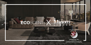 Minotti London