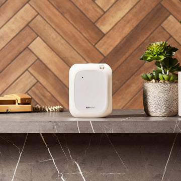 EcoScent -