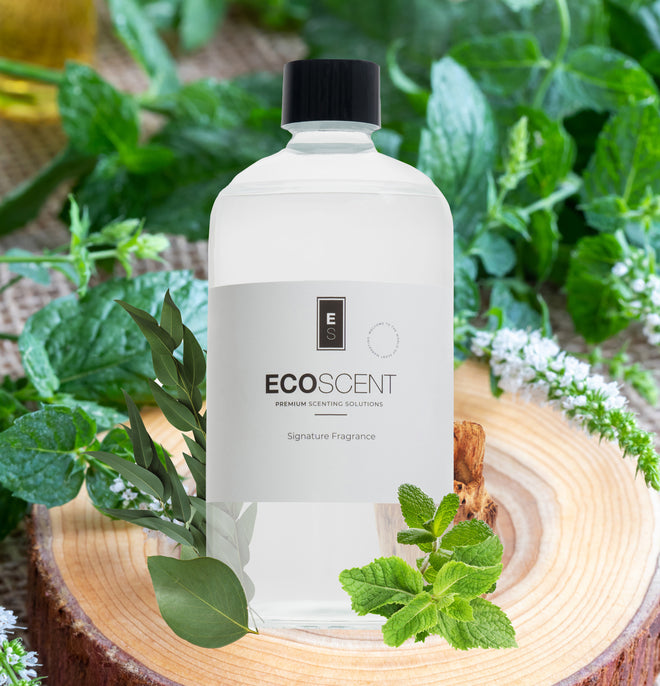 ecoscent-shop Cool Mint Fragrance Oil – Mint, Eucalyptus, Musk in a clear bottle with a black cap, surrounded by fresh mint leaves on a wooden surface.