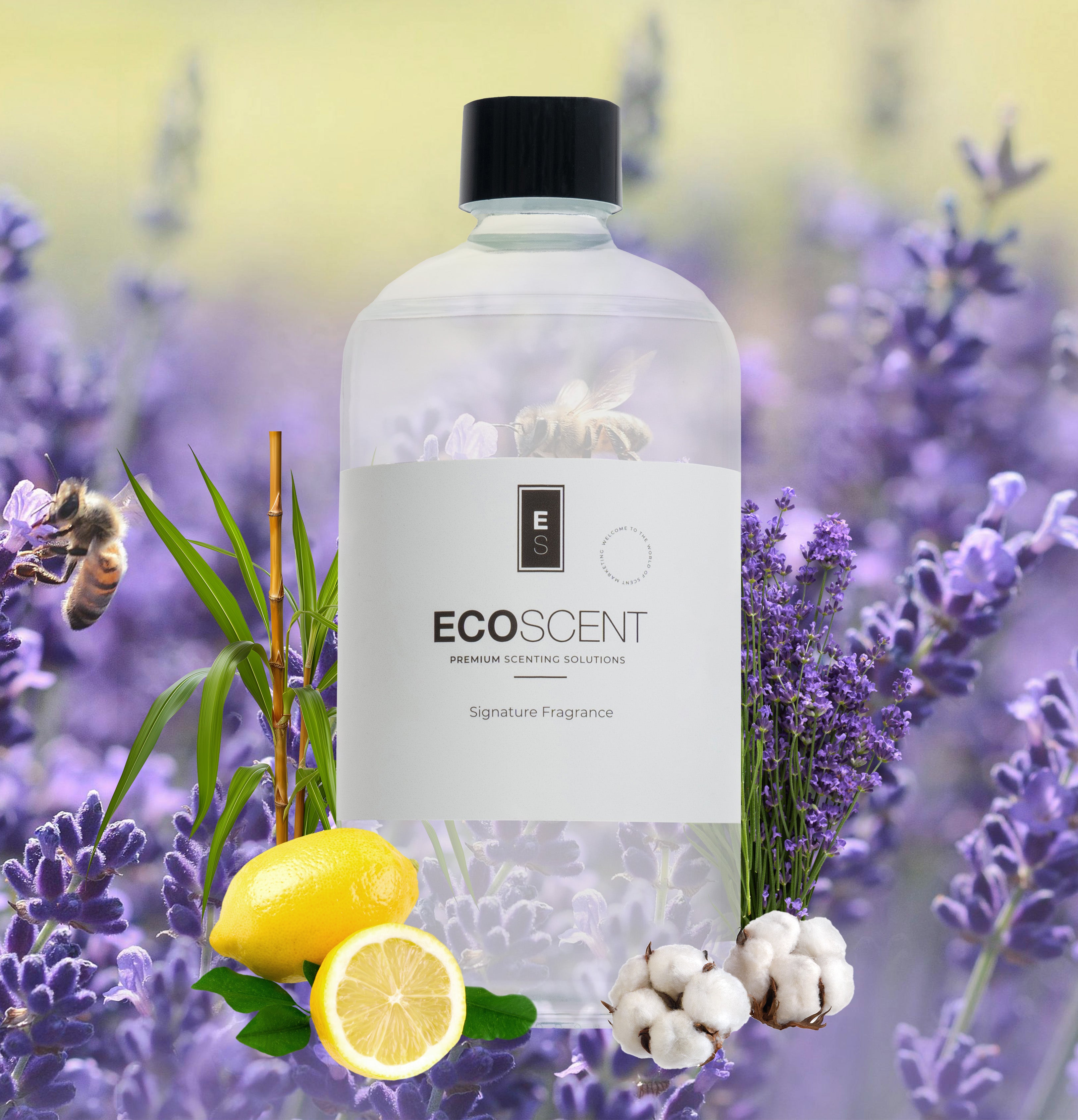 Fragrance Oil Vanilla Musk Oil Whole Foods Whole Foods Fragrance Fresh Cotton Lavender