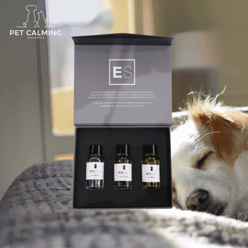 Botanic Tranquil Collection Box