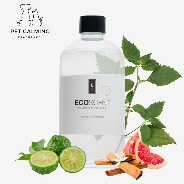 Bottle of EcoScent fragrance oil with natural elements like limes, cinnamon, and grapefruit on a white background