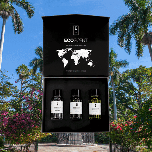 Passport: Sunset Horizon Collection Box