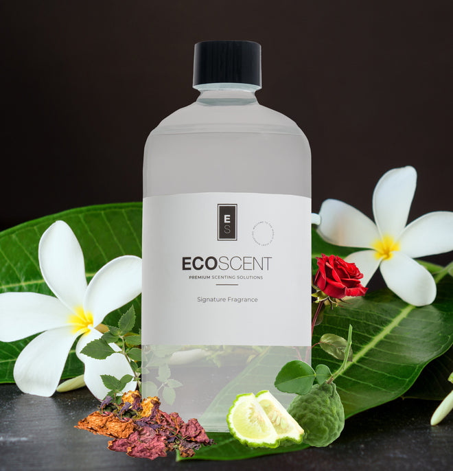 Ecoscent-shop White Patchouli Fragrance Oil in a clear bottle with a gray cap, displayed on green leaves and surrounded by flowers and dried herbs.