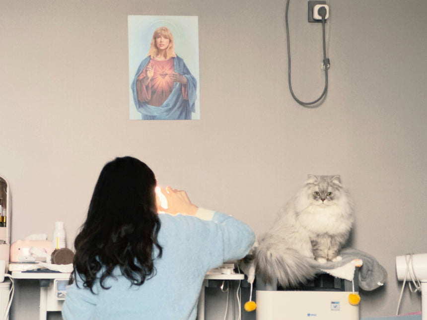A woman wearing a light blue sweater taking a photo with a camera in front of a grey wall, with a poster of a figure holding a heart and a grey fluffy cat sitting on a shelf.