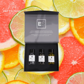 Citrus & Calm Fragrance Collection Box