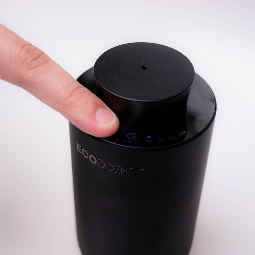Double Scent Capacity