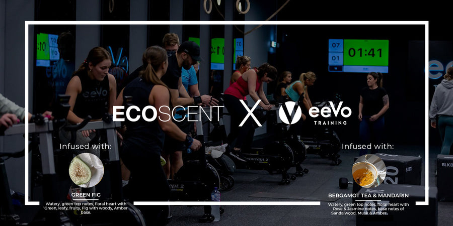 EcoScent X Eevo 