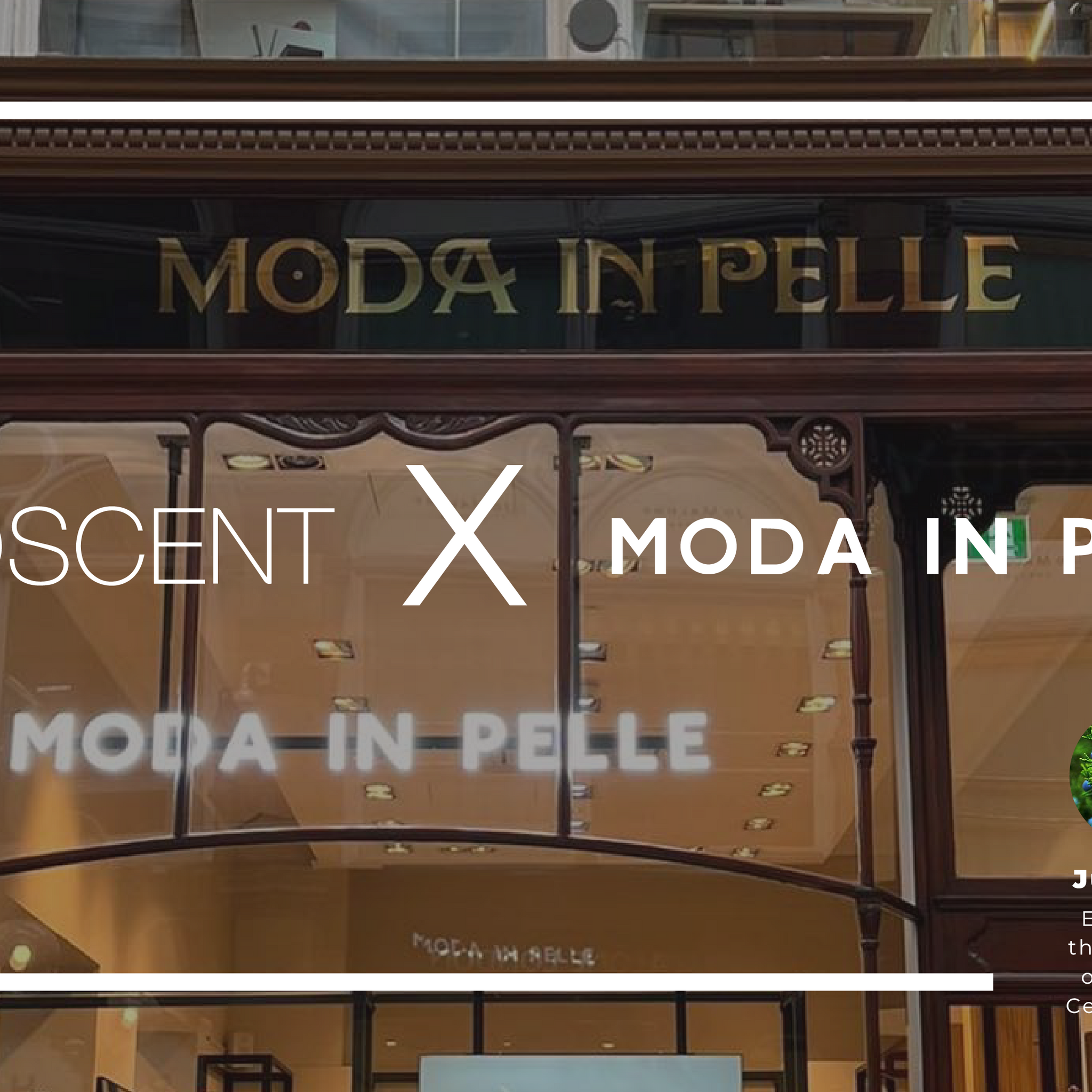 Moda In Pelle