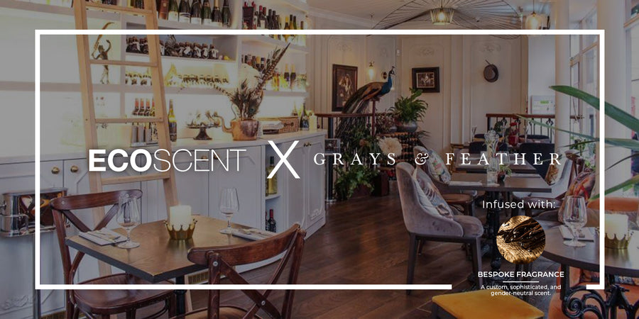Grays & Feather