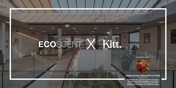 Kitt Offices