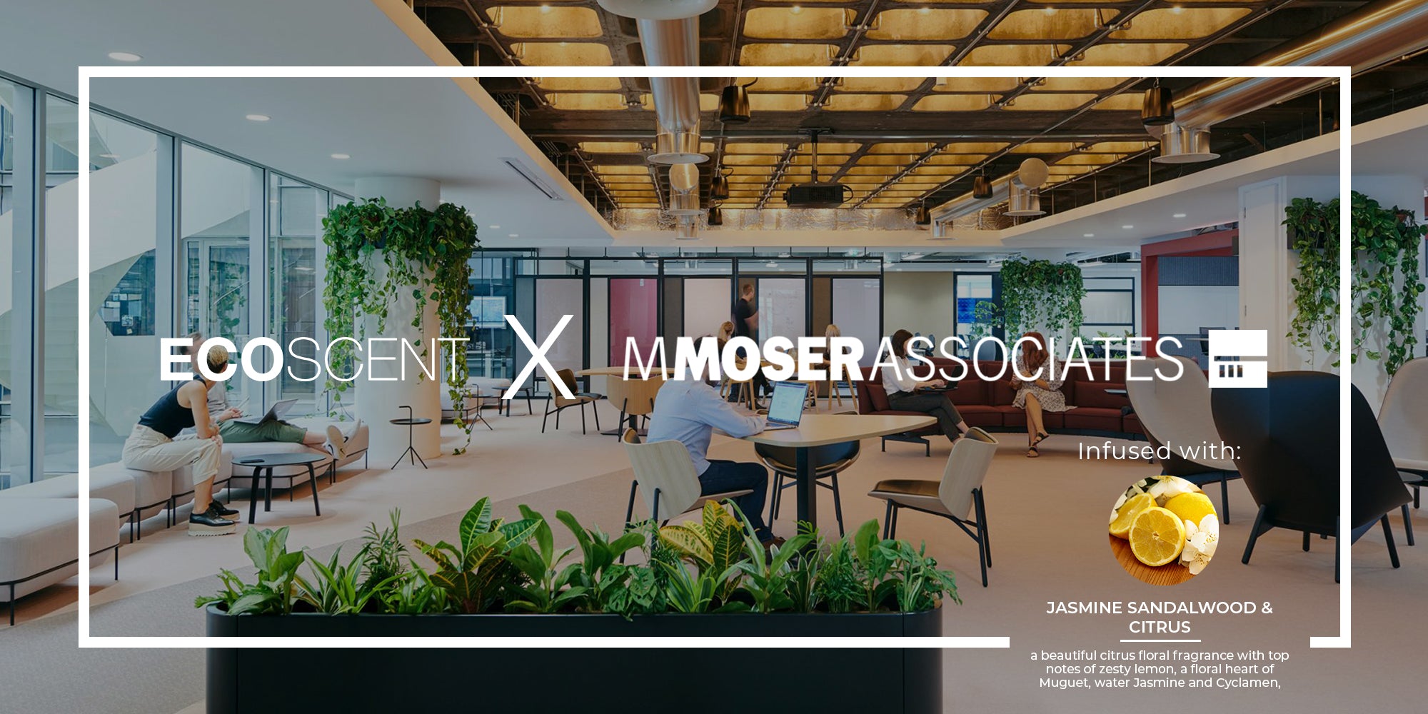 M Moser Associates