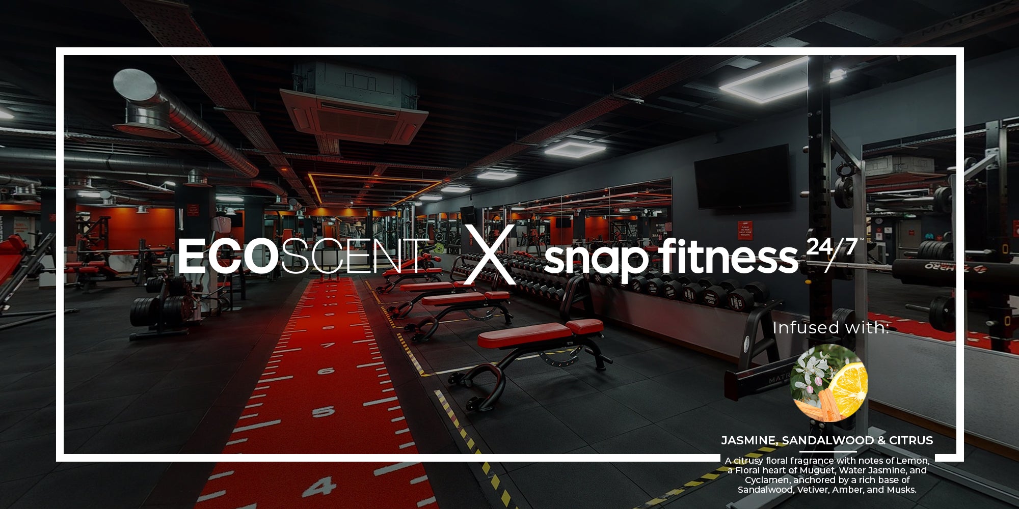 Snap Fitness Tooting