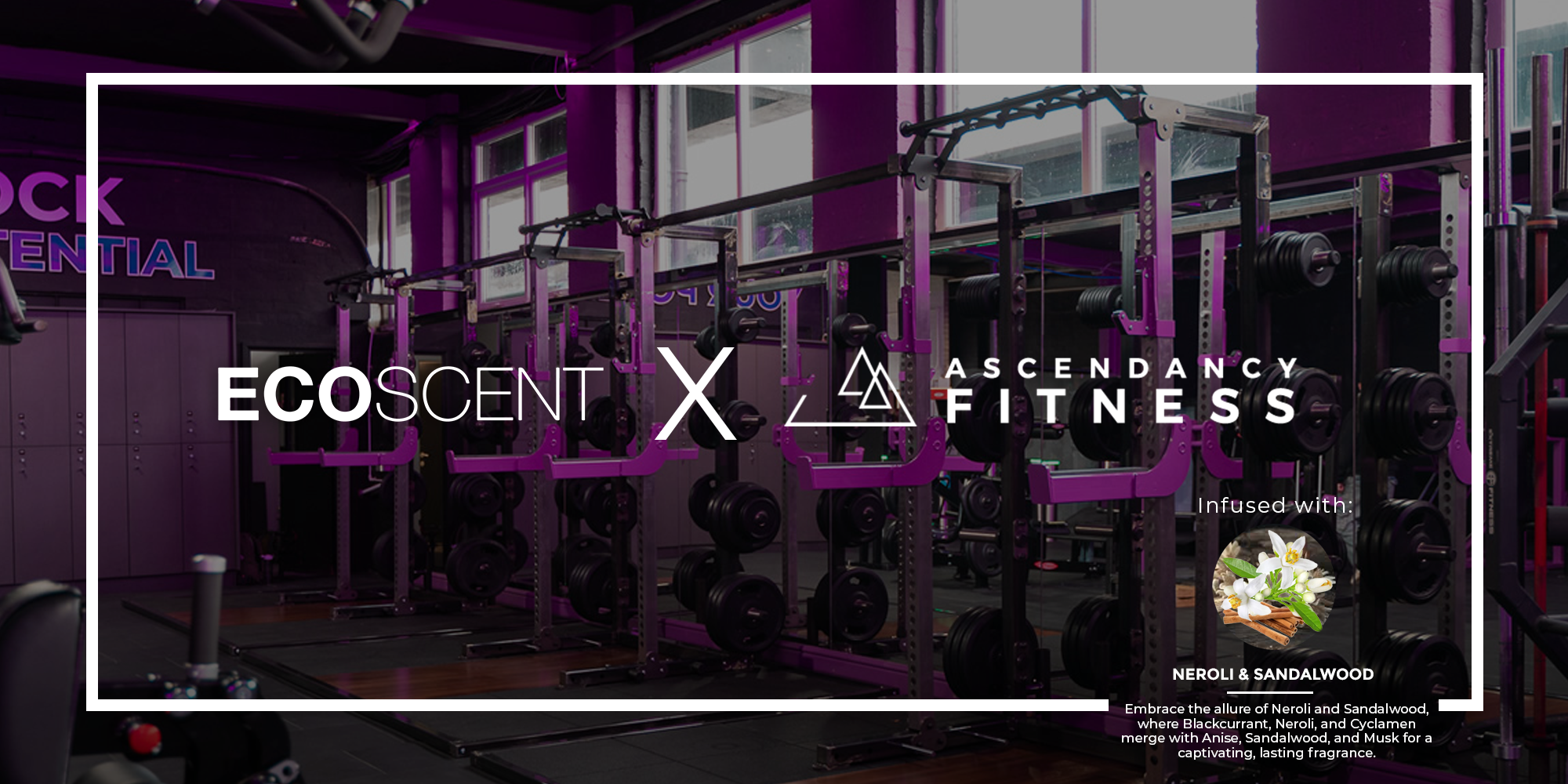 Ascendancy Fitness Gym