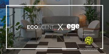 EGE Carpets Showroom