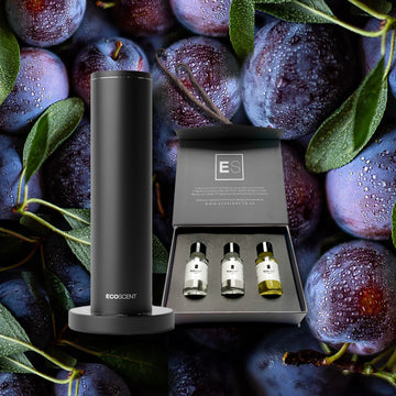 EcoScent - 