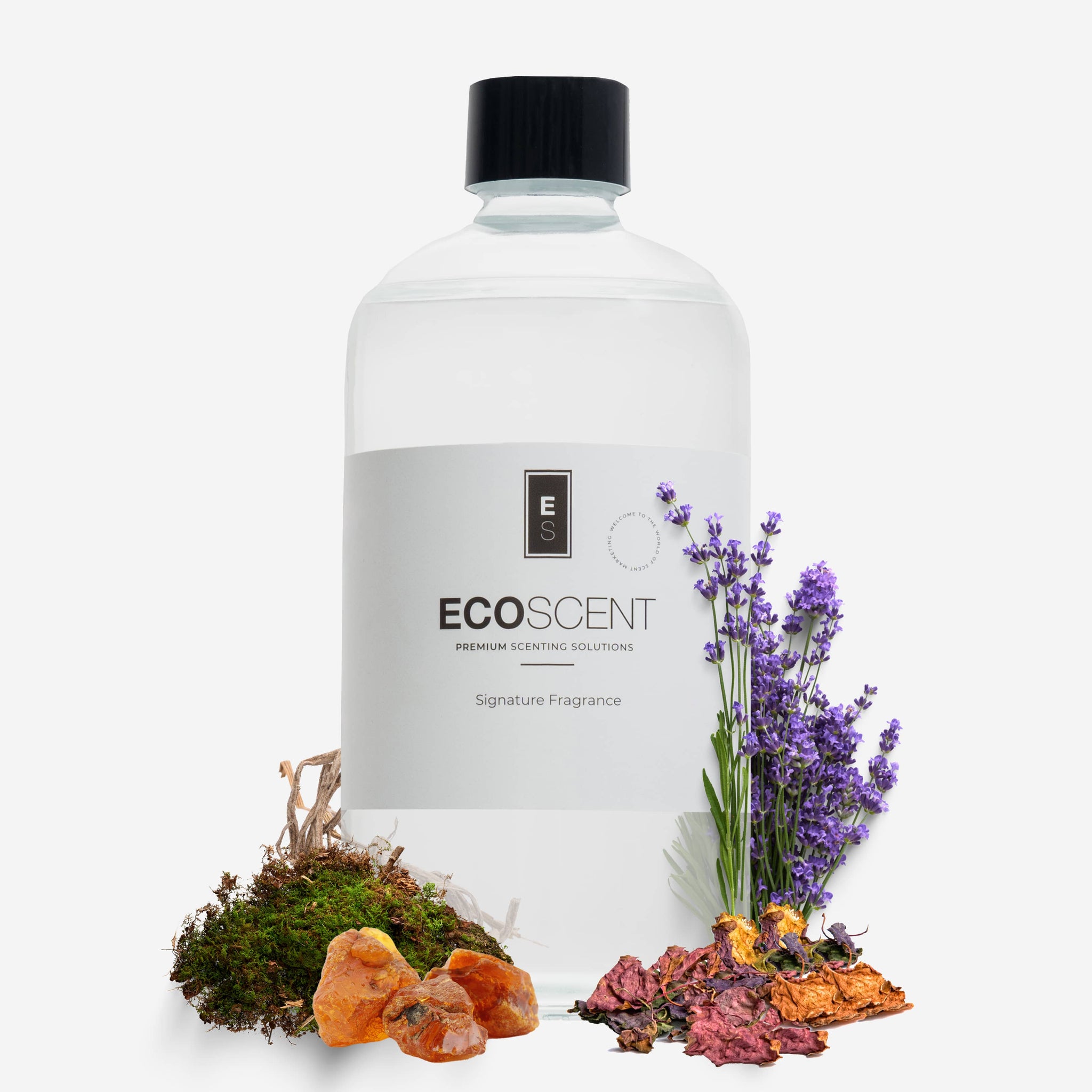 Amber, Vetiver Moss - Main Image