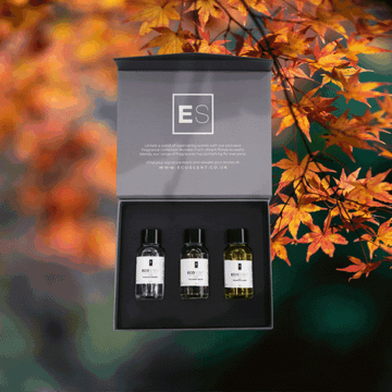 The Pumpkin Patch Collection  3 x 30 ML
