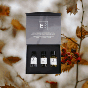 The Amber Woods Collection 3 x 30ML