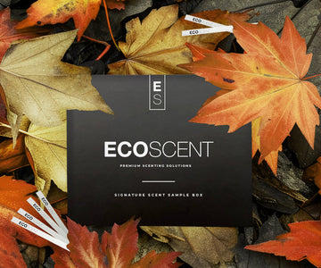 ECOSCENT scent sample box surrounded by autumn leaves