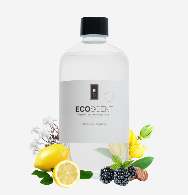ecoscent-shop Blackberry Ylang Ylang Fragrance Oil in a clear bottle with a black cap, featuring decorative images of blackberries, lemon, and ylang-ylang flowers alongside the bottle.