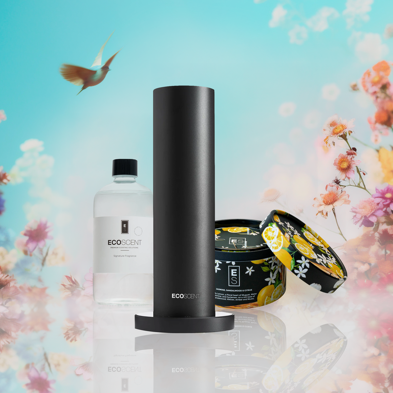 Complete Spring Set