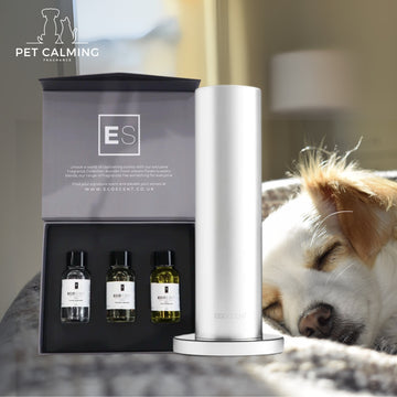 Citrus & Calm Bundle