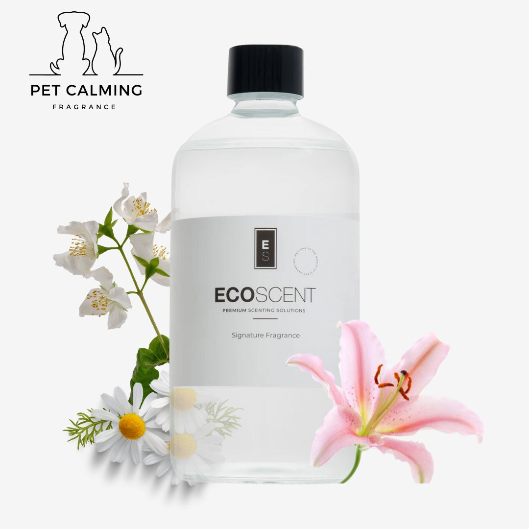 Calm Essence