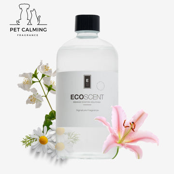 Calm Essence