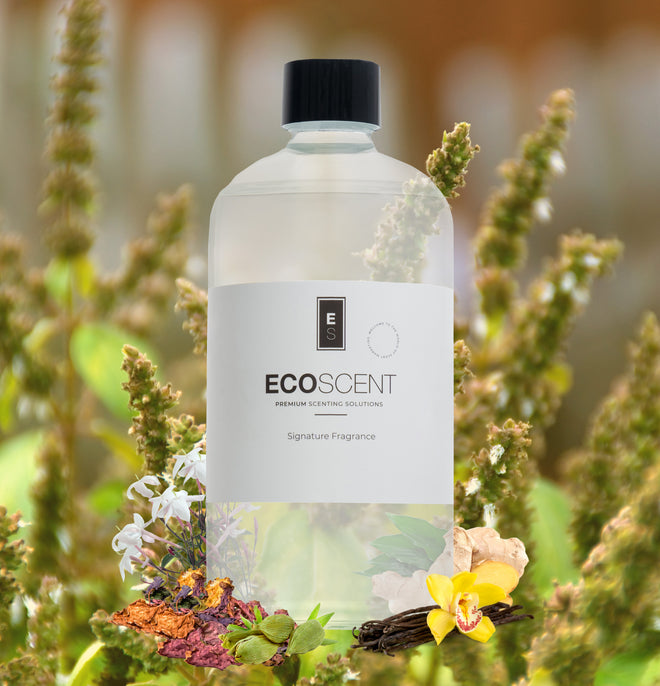 ecoscent-shop Cardamom & Patchouli Fragrance Oil in a clear bottle, featuring a black cap and a label with the brand name and product description, surrounded by floral elements and greenery.