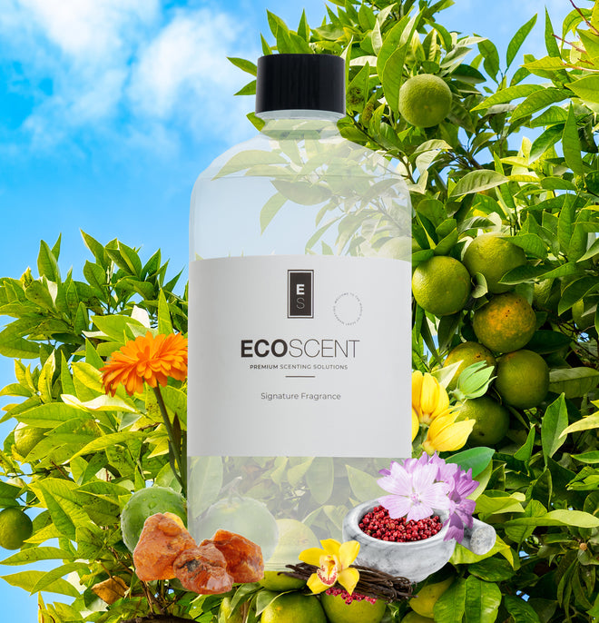 ecoscent-shop Fresh Mandarin Spice Fragrance Oil featuring notes of mandarin, pink pepper, and amber, shown in a clear bottle with a black cap, surrounded by green leaves and colorful flowers.