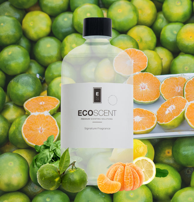 Ecoscent-shop Green Mandarin & Basil Fragrance Oil in a clear bottle, featuring a white label with black text. The background displays green mandarins and sliced oranges.