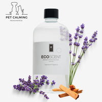 Lavender Bliss Fragrance Oil – Lavender, Geranium, Sandalwood