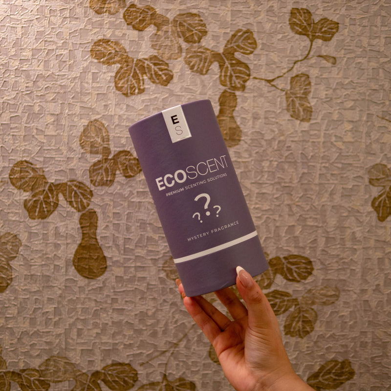Hand holding a mystery fragrance product packaging against a patterned background
