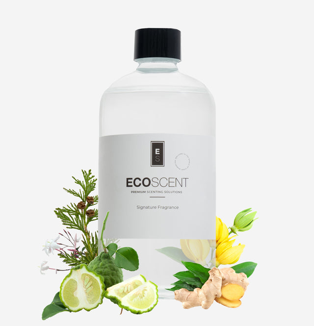 Ecoscent-shop Noir Oak & Cedarwood Fragrance Oil in a clear bottle, featuring a black cap, with notes of oak, cedarwood, and spice visible around the bottle. The oil is designed for premium scenting solutions.