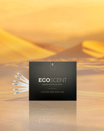 EcoScent Oudh Signature Scent Sample Box with fragrance testing strips against a warm desert backdrop.