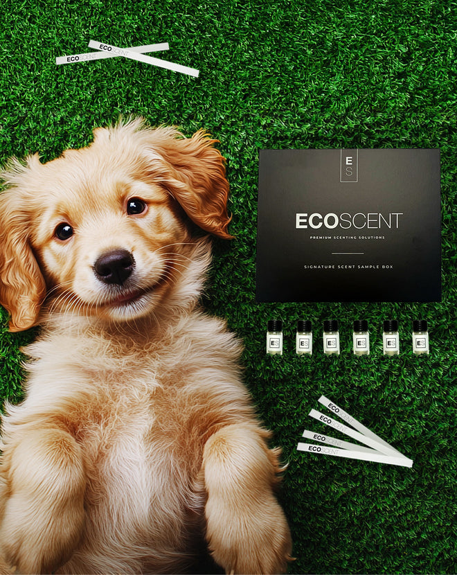 A golden retriever puppy lying on green artificial grass, surrounded by ECOSCENT sample vials and scent strips.