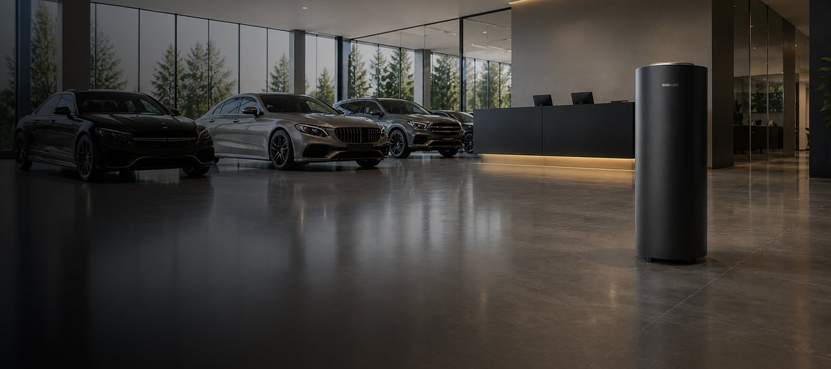 Luxury cars on display in a modern showroom with a sleek scent machine, featuring a reception desk and large windows overlooking trees, showcasing vehicles.
