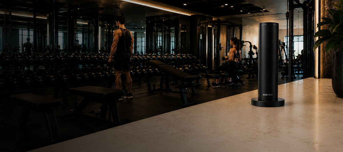 Black cylindrical scent machine on a marble surface in a modern gym with people exercising and weights in the background, surrounded by mirrors and windows.