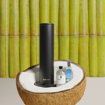 EcoScent - 