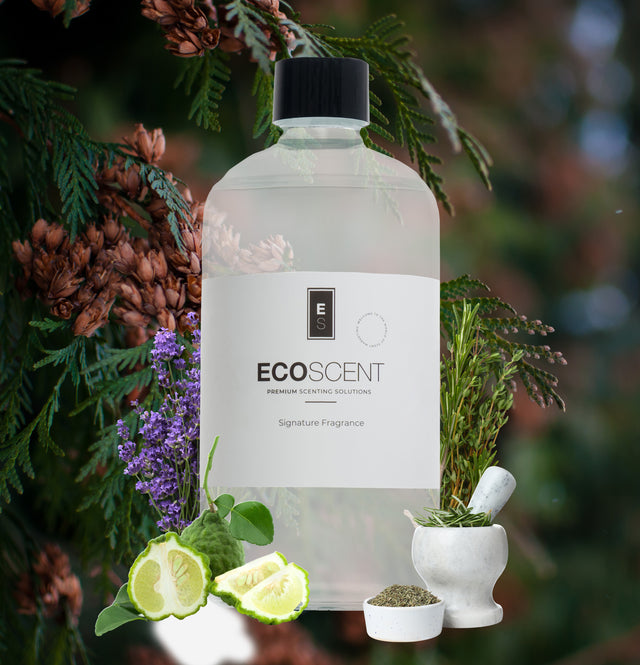 ecoscent-shop Thyme Tranquility Fragrance Oil with notes of thyme, cedar, and lemon, presented in a clear bottle with a black cap against a nature-inspired background featuring herbs and lime slices.