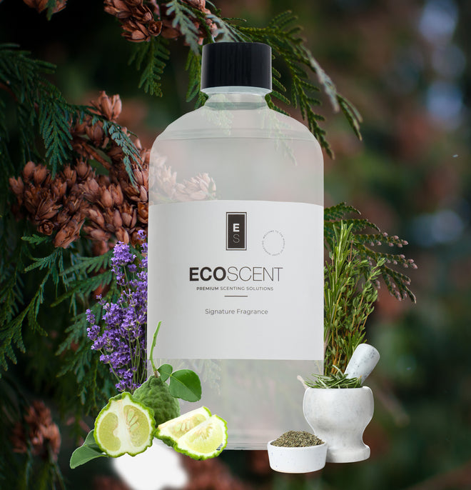 ecoscent-shop Thyme Tranquility Fragrance Oil with notes of thyme, cedar, and lemon, presented in a clear bottle with a black cap against a nature-inspired background featuring herbs and lime slices.