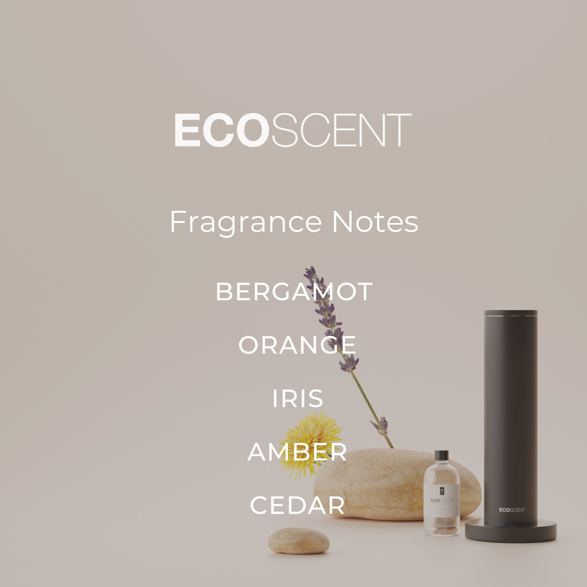 EcoScent fragrance notes displayed in a modern interior setting