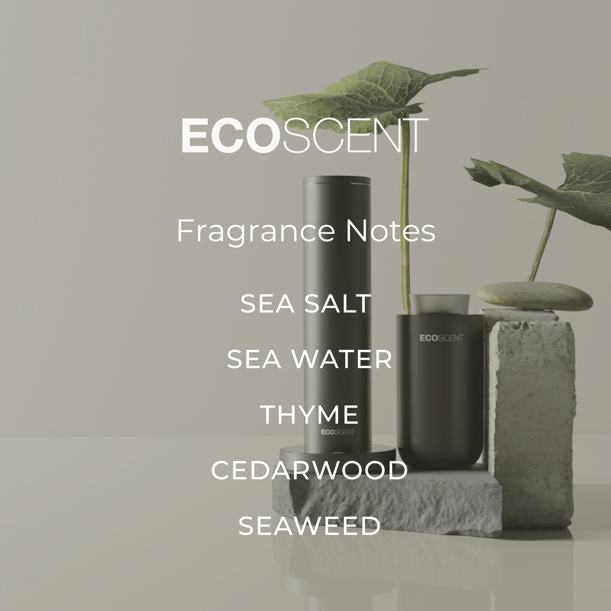 EcoScent fragrance notes displayed in a modern interior setting