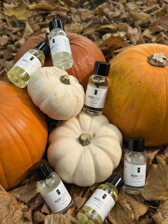 Autumn Collection