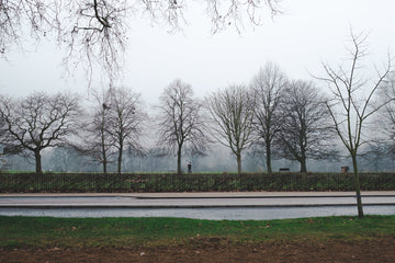EcoScent - 