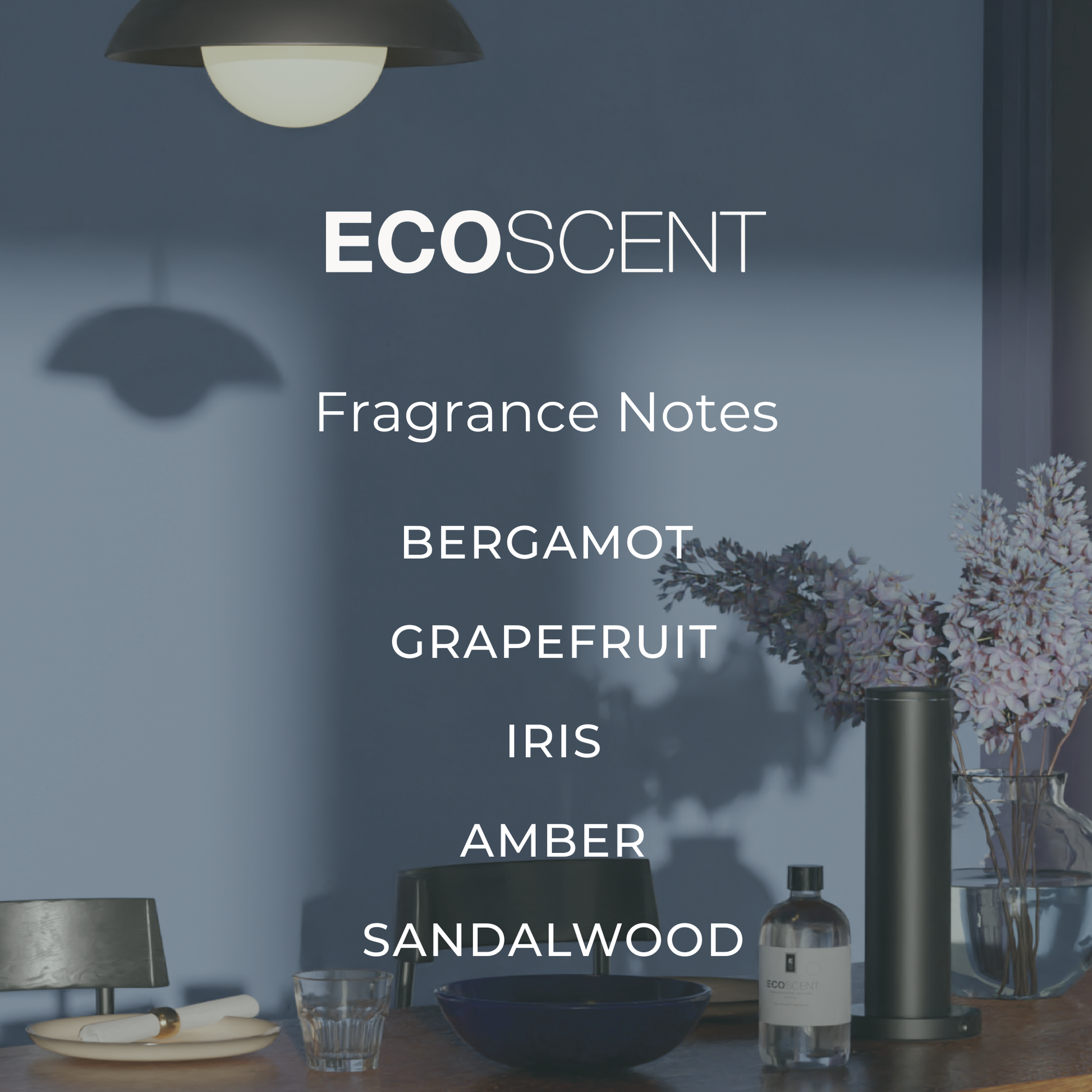 EcoScent fragrance notes displayed in a modern interior setting