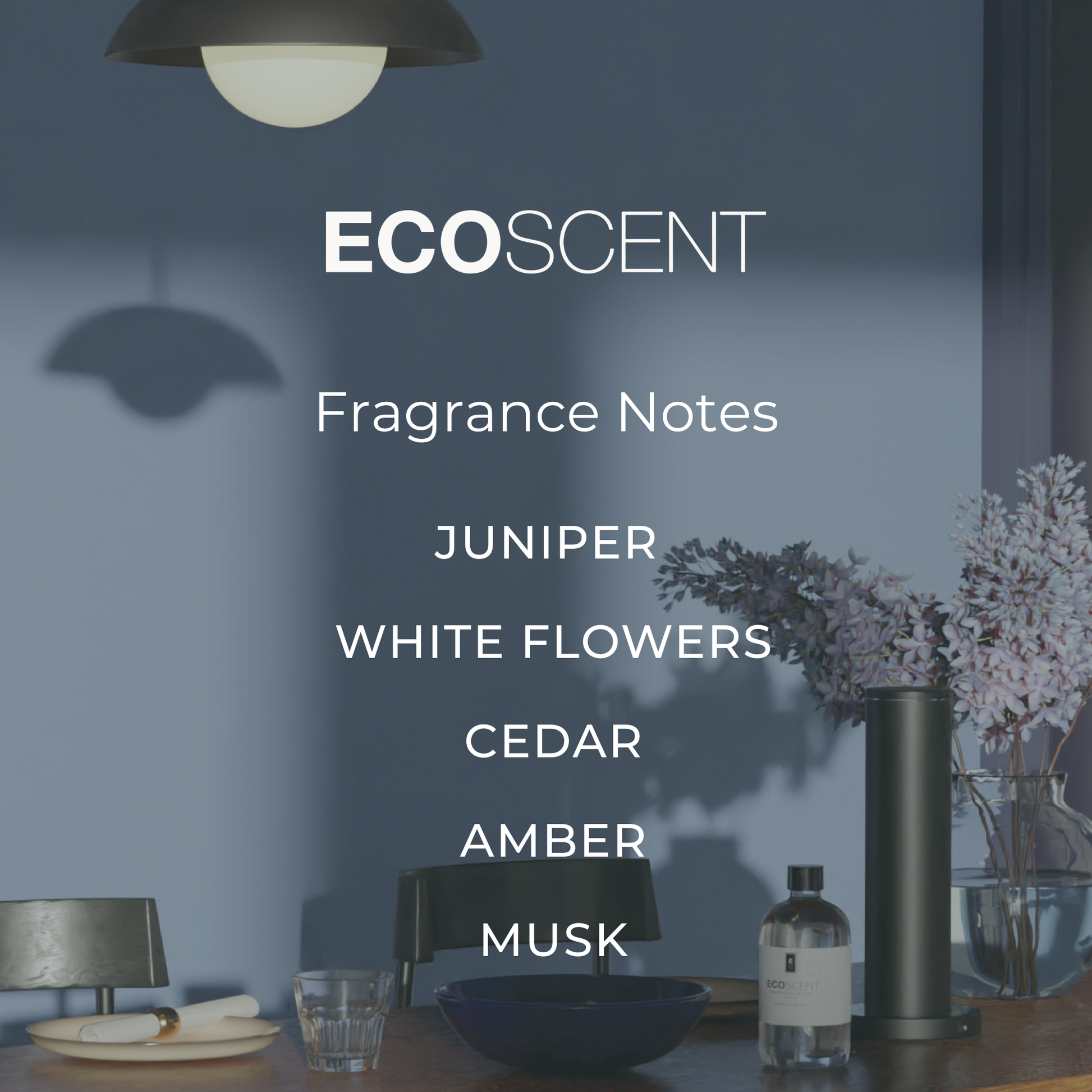 EcoScent fragrance notes displayed in a modern interior setting
